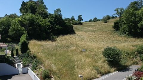 Atemberaubendes Baugrundstück mit Panoramablick in Herdern (TG)