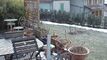 Chalet CH-1884 Villars-sur-Ollon