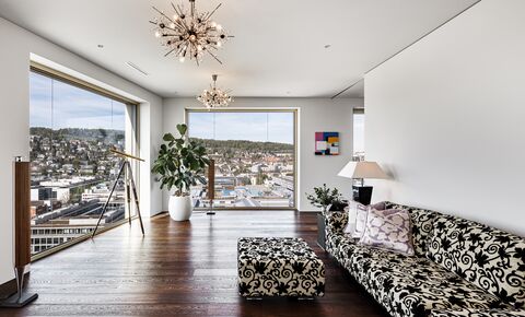 Exclusive oasis over the roofs of Zurich