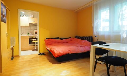 Furnished apartment CH-4053 Basel, Thiersteinerrain 15