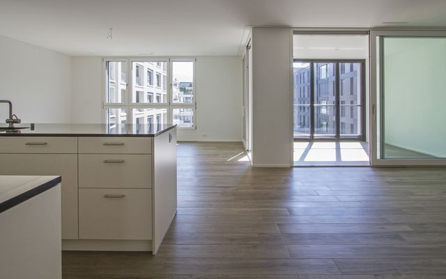 First Rental of a modern 3.5 Room City Apartment