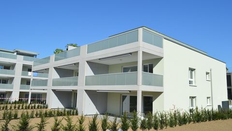 Top-moderne Wohnung zum Wohlfühlen
2 ½ Zi-WHG im 1. OG in Dintikon