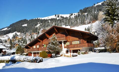 Holiday apartment CH-1659 Rougemont, Proche du centre