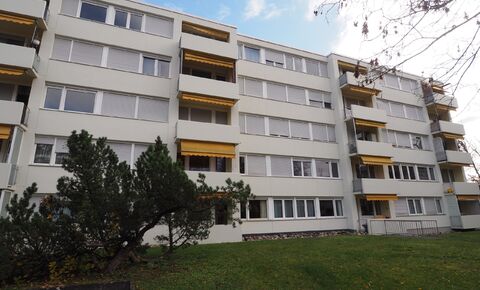 1.5 room apartment on the ground floor with outside parking space