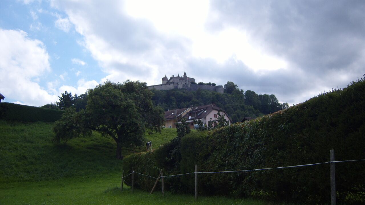 Photo 4