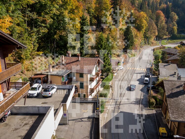 Image for Les Mousses