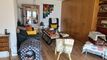 House CH-3963 Crans-Montana