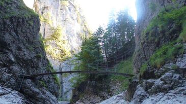 [IMG 3242]