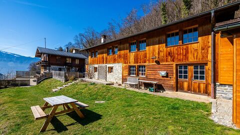For sale: Happy Dogs Aigle boarding kennel - unique opportunity