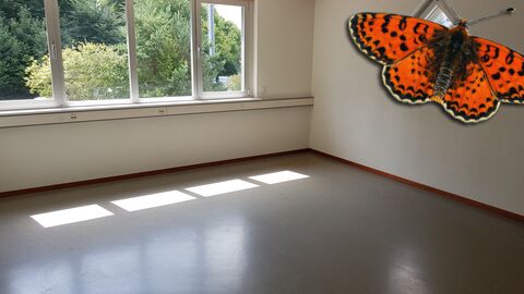 SURFACES ADMINISTRATIVES Dès 136 m² jusqu'à 238 m²