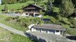 Chalet CH-1880 Les Posses-sur-Bex