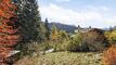 Chalet Rose : Tranquillité et Nature à La Barboleuse