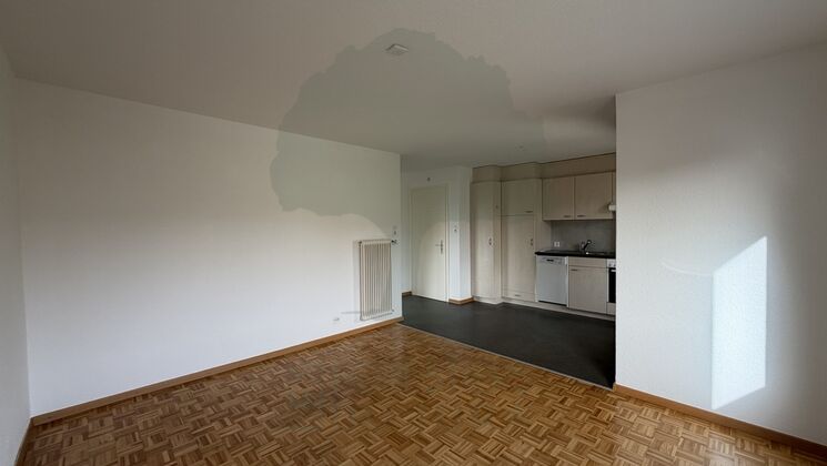 Appartement 2.5 pièces