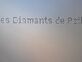 "Les Diamants de Peilz"              4.5 pièces de 157m2
