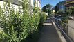 Trop tard ! Il est réservé : appartement au Ch. du Sillon à Aigle.