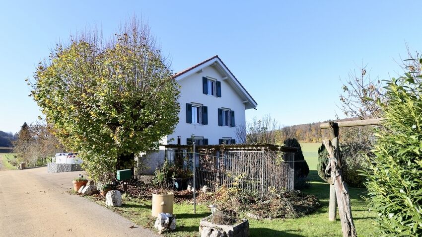 Einfamilienhaus