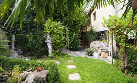 Appartement de jardin bien entretenu à Allschwil - calme et soleil à l'état pur