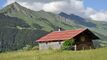 Vendu : Au-dessus de la Forclaz / VD : chalet authentique