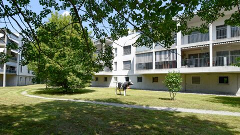 Zentral gelegene 3.5 Zimmer Wohnung in Urtenen-Schönbühl