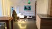 Superbe villa individuelle avec studio indépendant !