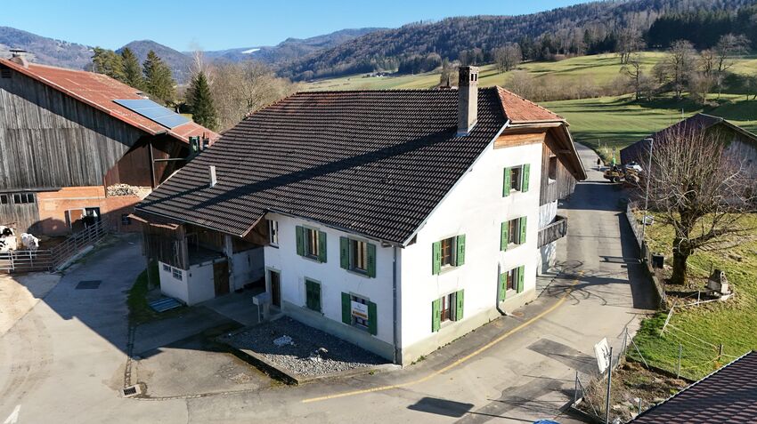 Duplex