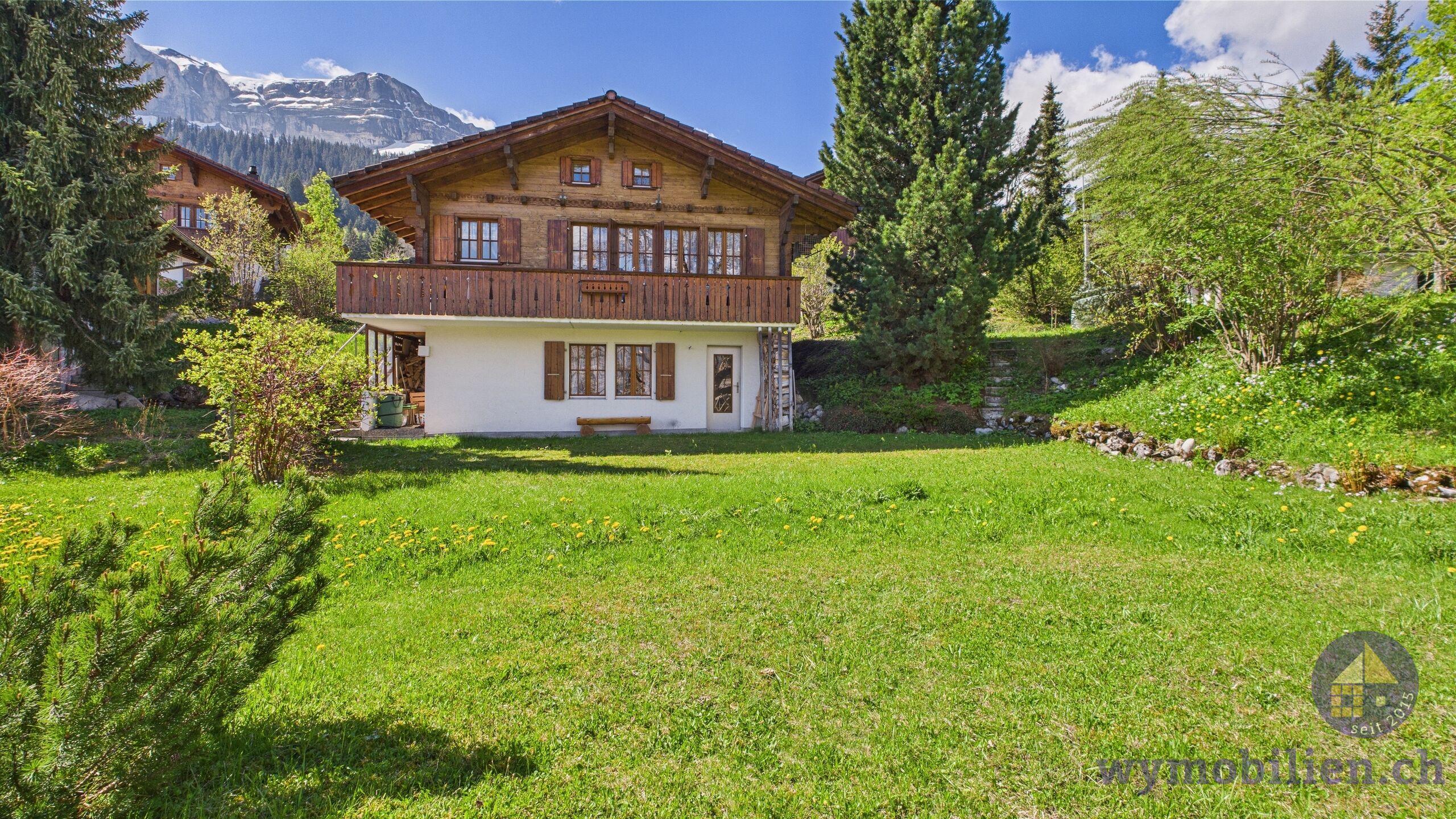 Viel Grünfläche rund ums Chalet 