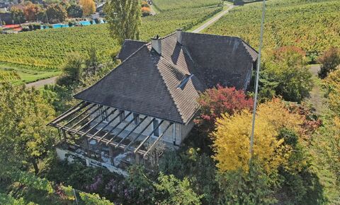 herrschaftliche Trotte mit südlichem Flair
inmitten des Weinbergs
