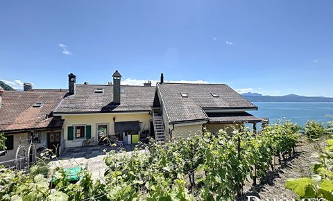 UNIQUE I Charmante maison de village avec vue sur les vignobles et lac