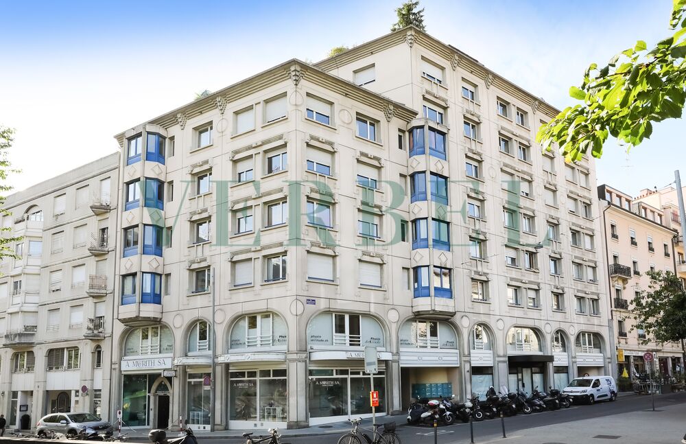 Bright apartment in the heart of Geneva