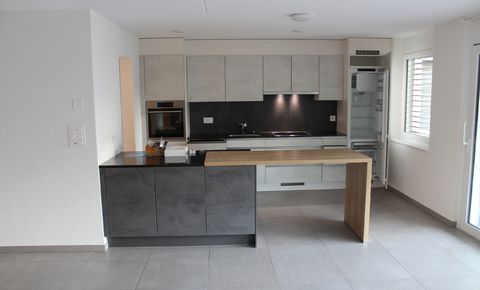 PPE apartment of 4.5 rooms on 114 m²