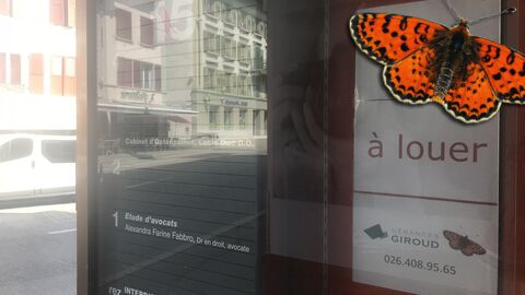 Vitrine au centre de la Grand-Rue à Payerne