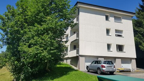 Frisch renovierte Wohnung !