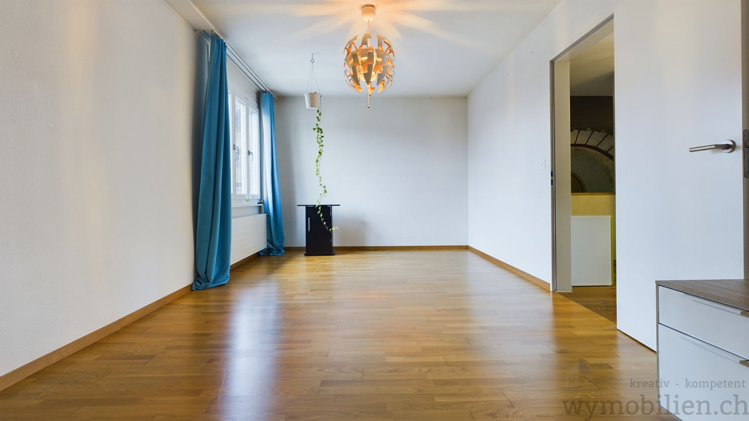 Zimmer DG 