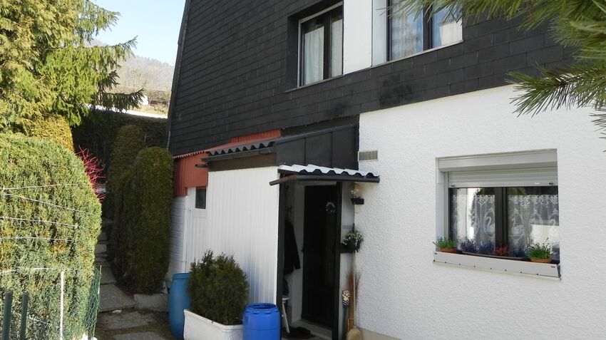 Twin house