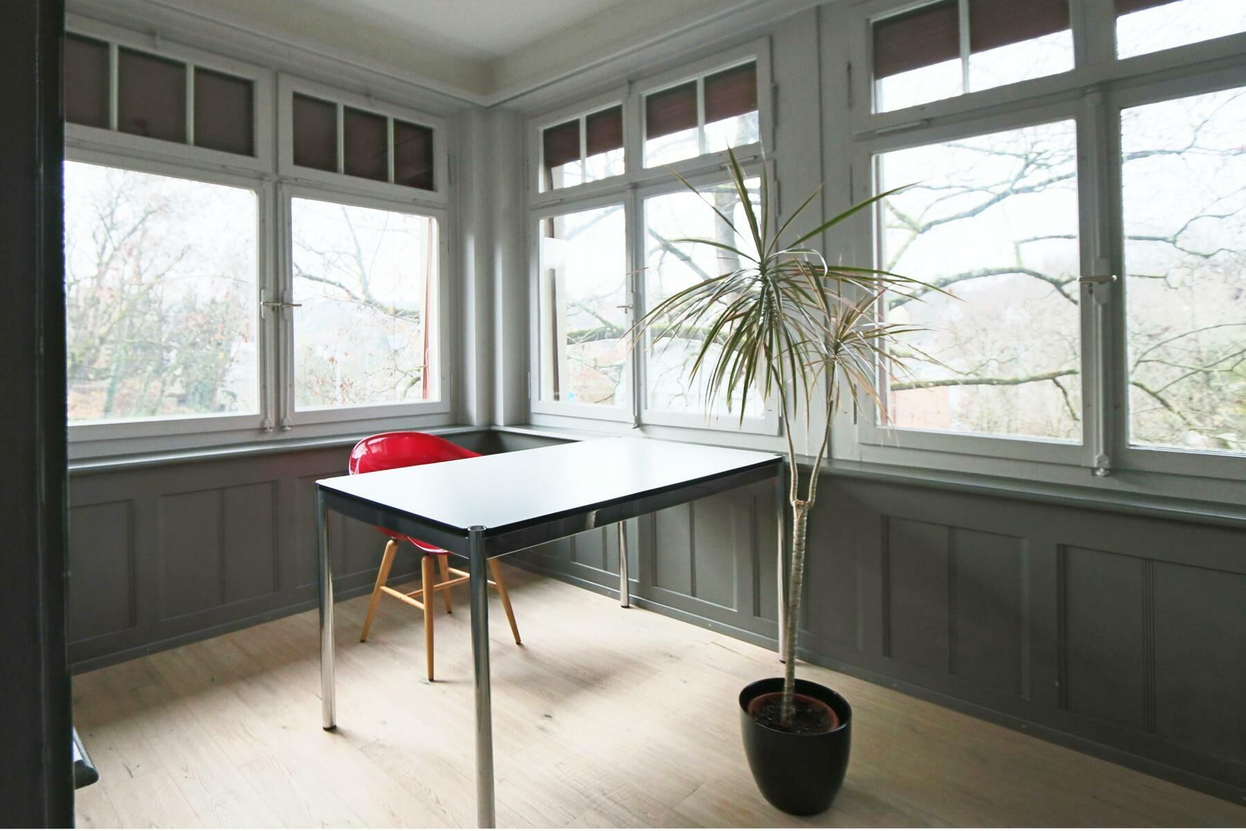 Wohnung/Büro OG