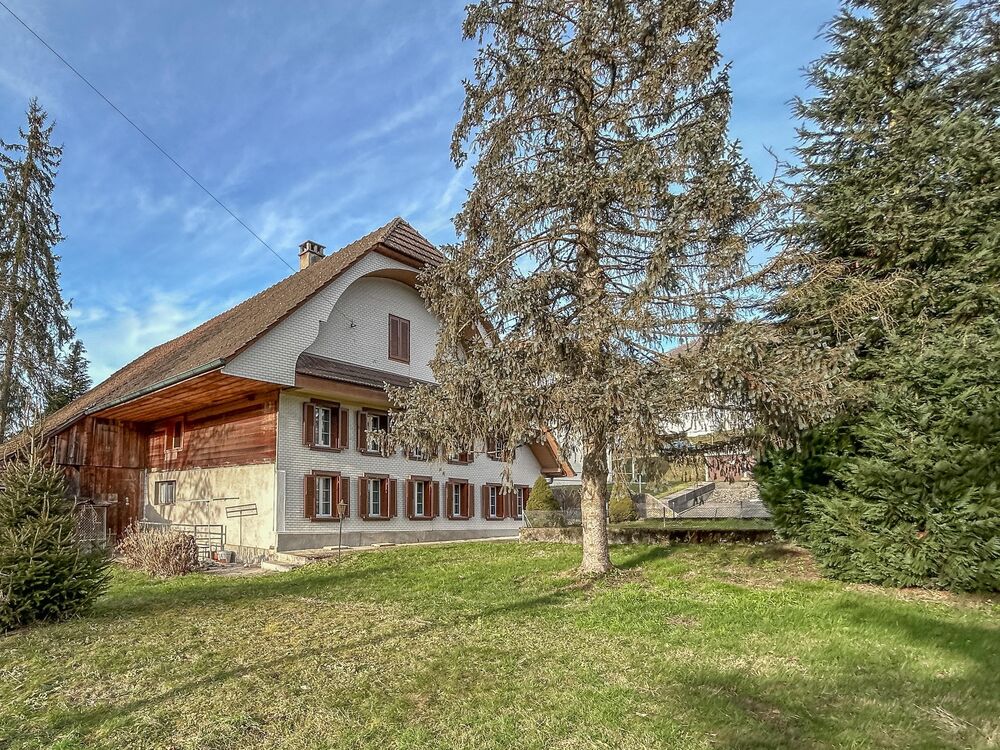 Charmantes Bauernhaus mit Potenzial