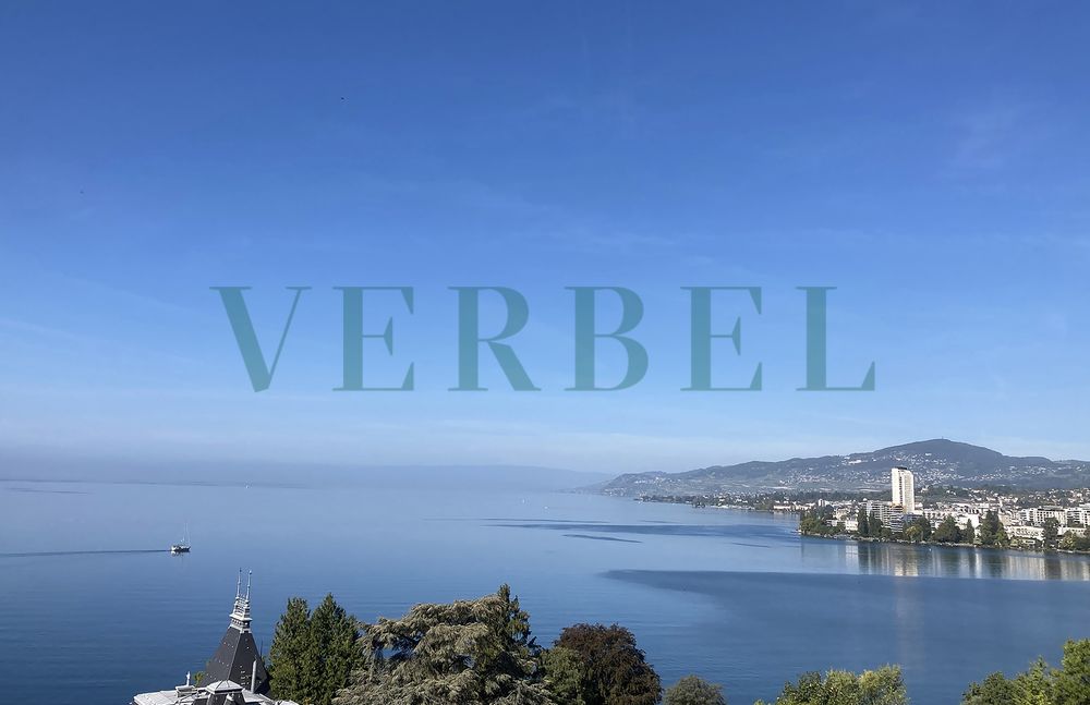 Studio with magnificent view of Lake Geneva and Montreux