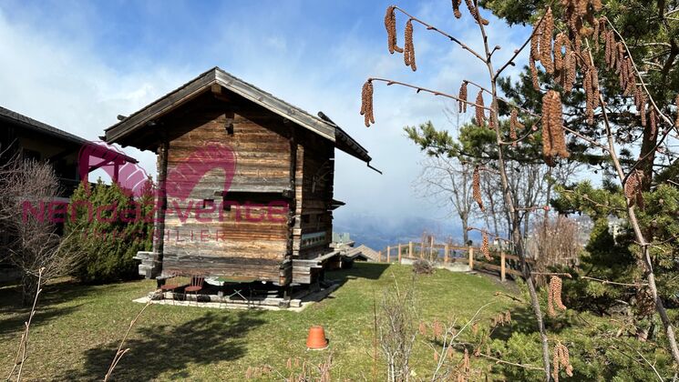 Chalet CH-1997 Haute-Nendaz