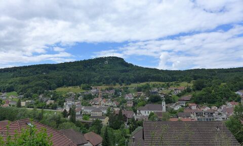 Single family house CH-4203 Grellingen