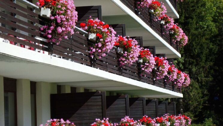Trop tard !!! Diablerets appartement au coeur de l'Eurotel Victoria avec piscine