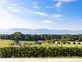 Villa individuelle au cœur des vignes avec vue panoramique sur le lac