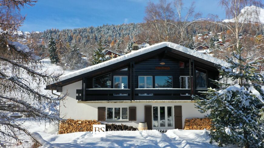 Chalet CH-1955 Mayens-de-Chamoson