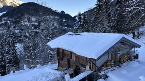 Chalet authentique de mayen, au milieu de nulle-part, en pleine nature