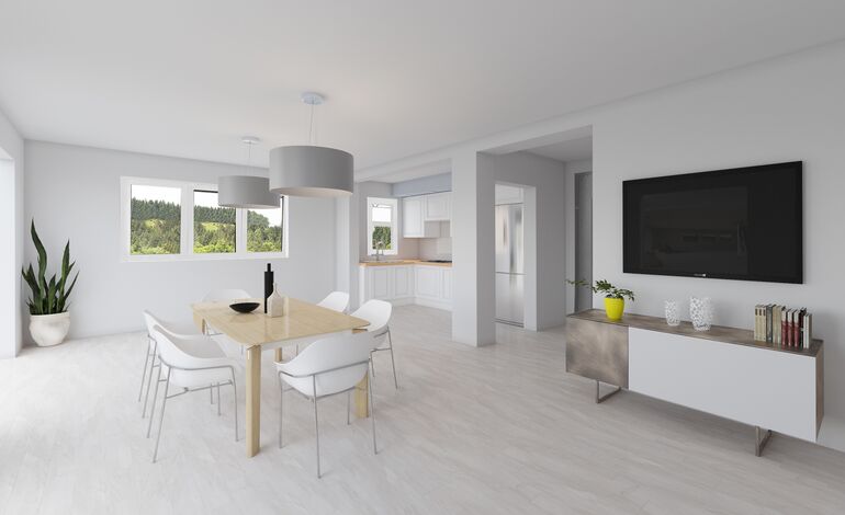 Maison individuelle neuve et moderne en Singine