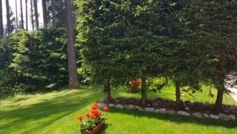 Joli 2 pces à vendre en rez-de-jardin proche du centre