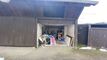 Appartement CH-2950 Courgenay