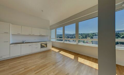 Appartement aux volumes généreux