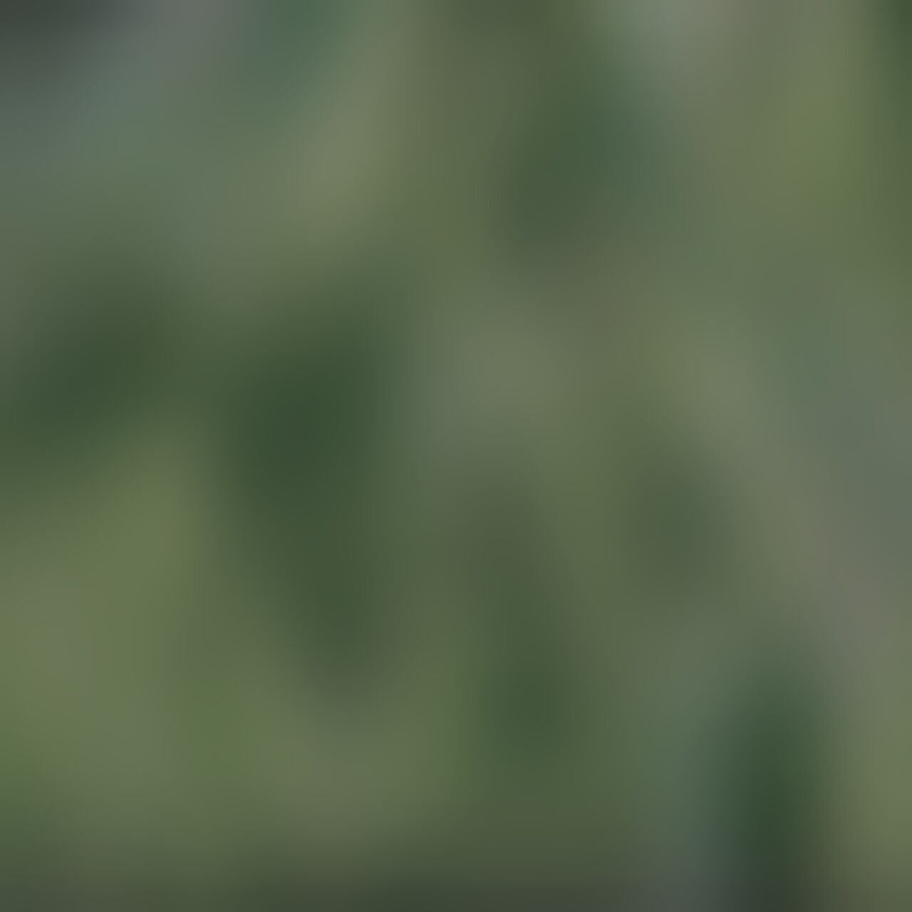 Ein verschwommenes Bild
