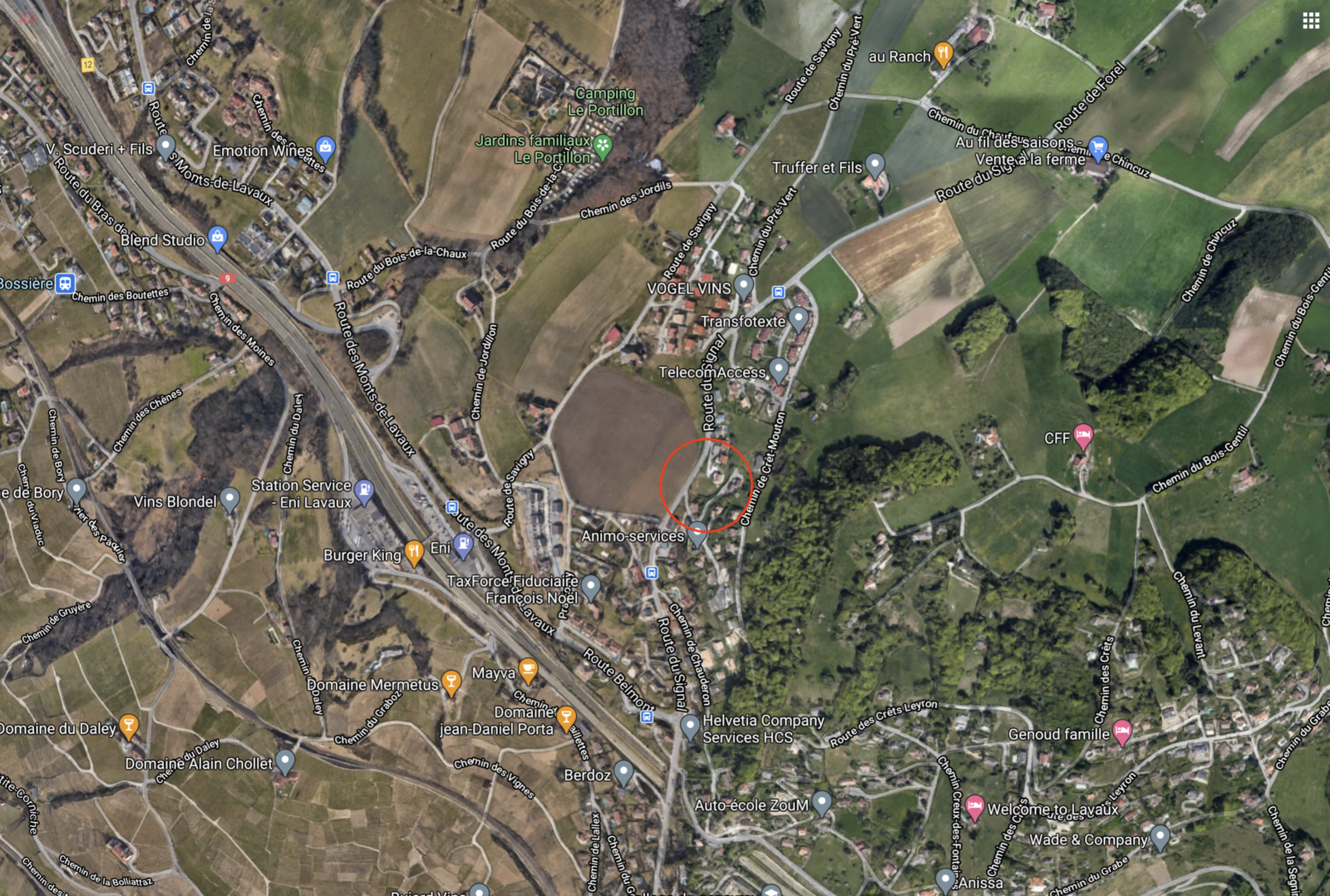 Projet immobilier à Grandvaux, plan Google map