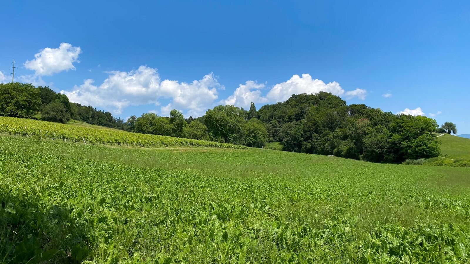 Projet immobilier à Mathod, le village